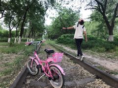 -永定河休闲森林公园