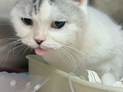 -达爱动物医院·犬猫分区·CT·复杂眼科(远洋山水分院)