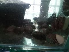 -雅逸居海鲜小厨