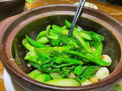 啫啫芥兰苗-广东道至正餐厅(区庄店)