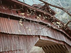 -中国庆元廊桥博物馆