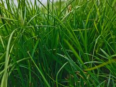 -萍乡武功山风景名胜区