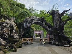 -龙湾潭国家森林公园
