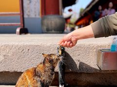 -龙华寺
