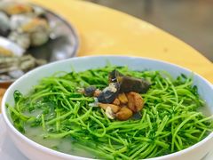 上汤豆苗-蚝专家(北滘店)