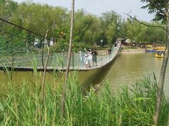 -杨柳青庄园