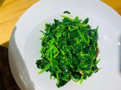 -十二毡房蒙餐·蒙古包