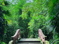 -望江楼公园