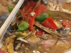 -鱼乐岛餐厅·户外花园主题餐厅