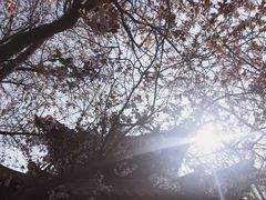 -碑林公园