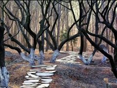 -前关湿地公园