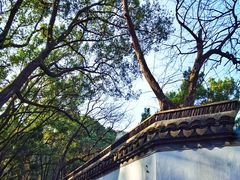 -上海佘山国家森林公园天马山园