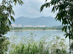 -福建鲤鱼洲酒店