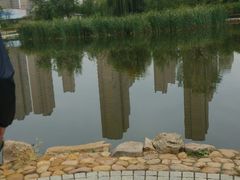 android_upload_pic-前关湿地公园