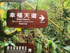 -呀诺达热带雨林
