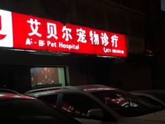 -艾贝尔宠物诊疗