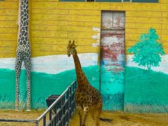 -鄂尔多斯野生动物园