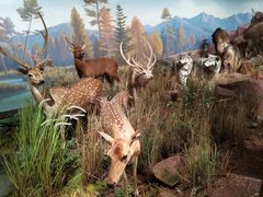 -陕西自然博物馆