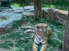 -北京野生动物园