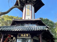 -上海佘山国家森林公园天马山园