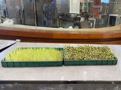 -北京烤鸭 ·儿童菜 ·采风阁家常菜餐厅(亚龙湾天域酒店)