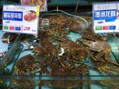 -渔民新村(番禺总店)