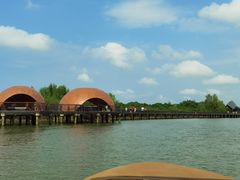 -东寨港红树林旅游区