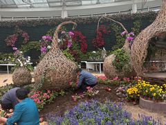 -石家庄市植物园