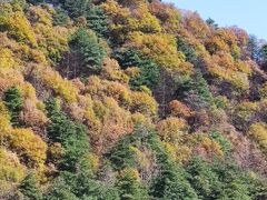 -秦岭风景区