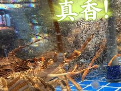 -醉御香渔家园(临沂路与大连路店)