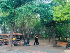 -禹州森林植物园