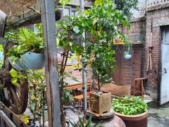 -新疆狼爷烤肉(宋庄店)