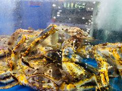 -蟹之国·精品蟹料理(极地店)