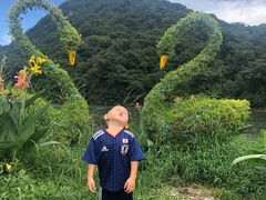 -广州市石门国家森林公园