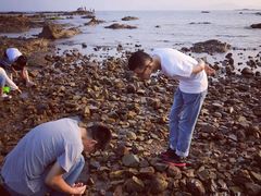 -青岛第二海水浴场