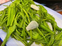 -菌之家·专业纯野生菌火锅·特色炒菌