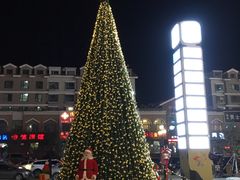 -高新·活力城Village