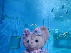 -北戴河圣蓝海洋公园