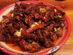 -柴窝堡22号辣子鸡·传承新疆菜