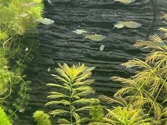 -上海海洋水族馆