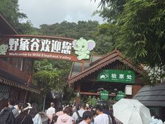-野象谷景区