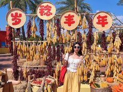 -珠海海泉湾神秘岛亲子乐园