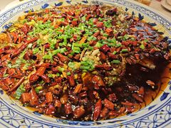 -新概念来凤鱼(璧山店)