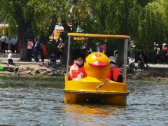 -长春市南湖公园