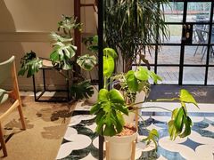 -一尺花园(安和花园店)