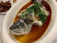 私房蒸海鲈鱼-酌宴府The China Club·广州万富希尔顿酒店(云城东路店)
