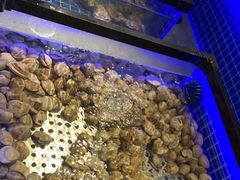 水产区-圣罗巴海鲜自助(黑金店)