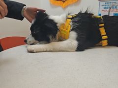 -美联众合24小时·皮肤科·外科·全科诊疗中心(华苑分院)