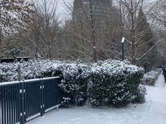 -元大都城垣遗址公园