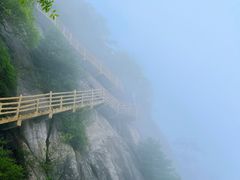 -陕西省红河谷森林公园